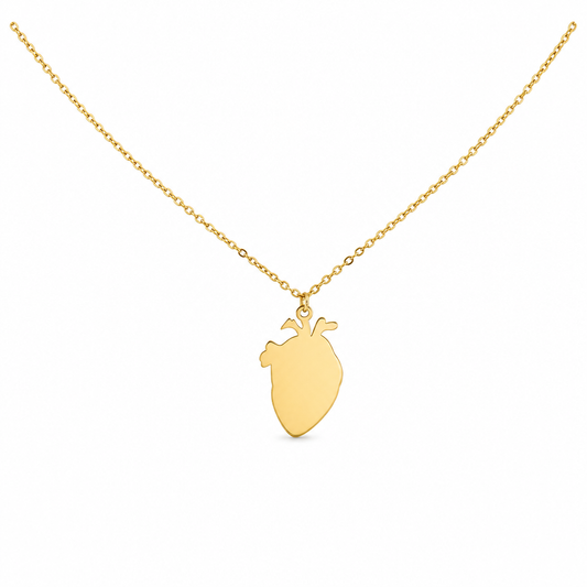 Collana Cuore Anatomico