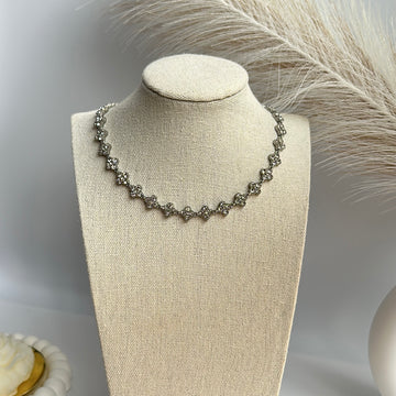 Collar Van Luxury