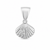 Charm Conchiglia