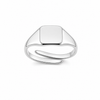 Anello Mignolo Square