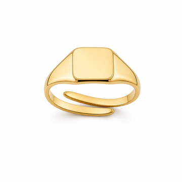 Anello Mignolo Square