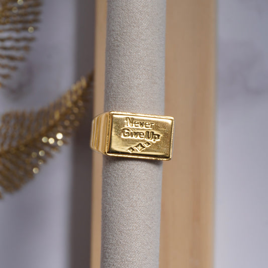 Anello Never Give Up