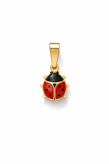 Charm Coccinella