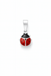 Charm Coccinella