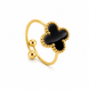 Anillo de furgoneta