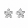 Pendientes Narcisio