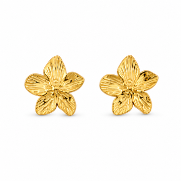 Pendientes Narcisio