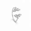 Anello Dafne