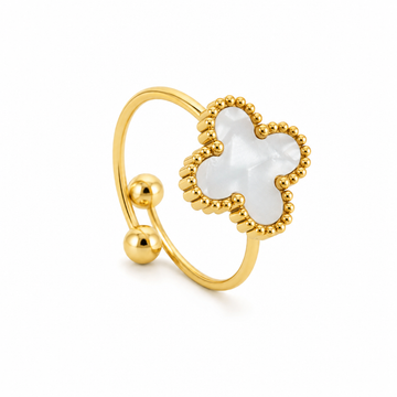 Anillo de furgoneta