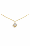Collar Van Sweet